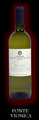 Fonte Vionica